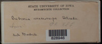 Image Associated With the Occurence